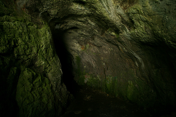 Tudor Prisacariu - Entropy