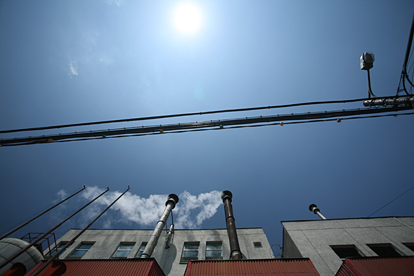 Tudor Prisacariu - Entropy