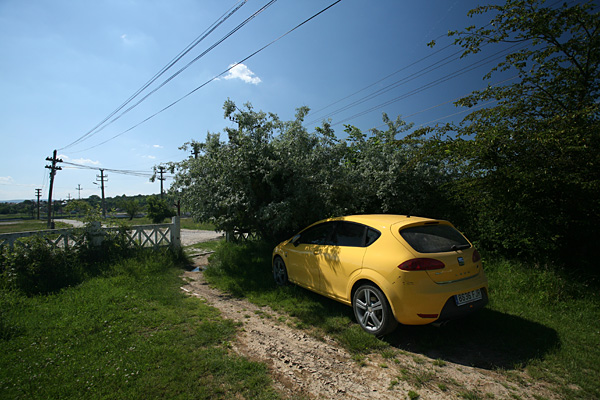 Tudor Prisacariu - Entropy